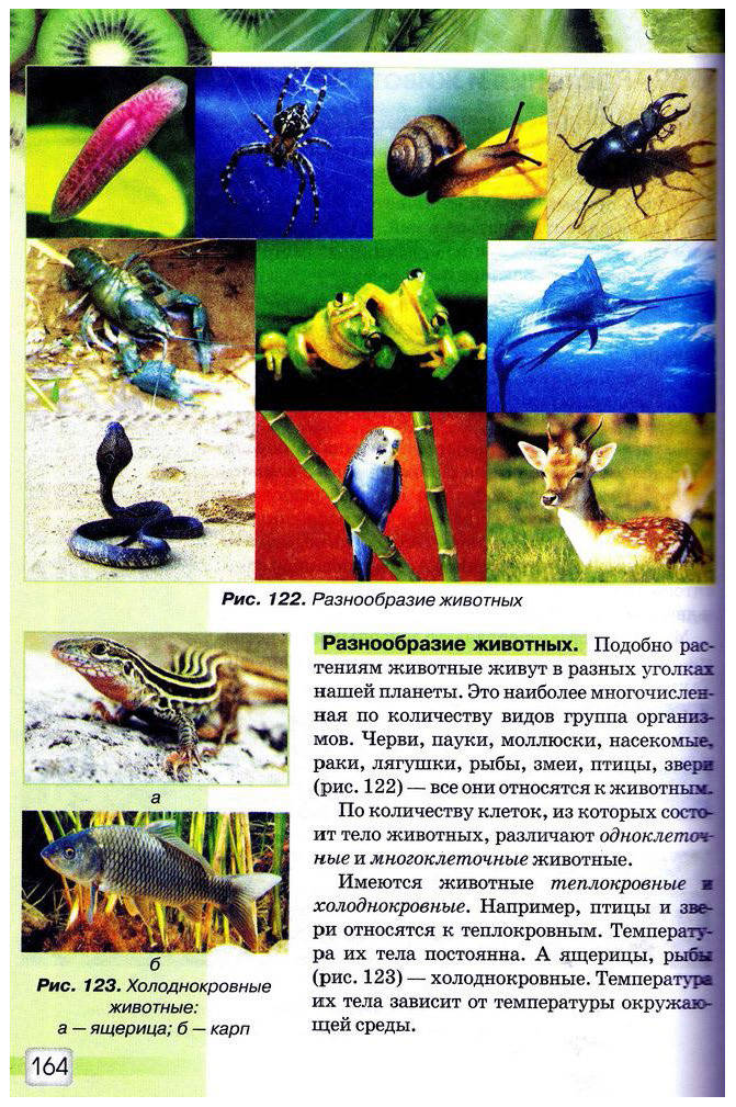Природоведение 5 класс Ярошенко