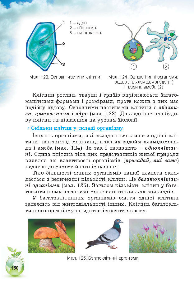 Підручник Природознавство 5 клас Коршевнюк