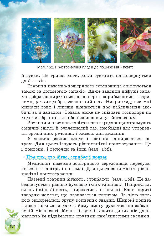 Підручник Природознавство 5 клас Коршевнюк