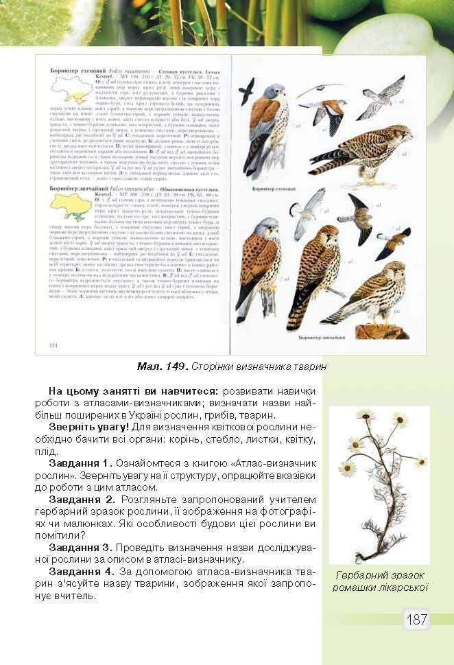 Природознавство 5 клас Ярошенко