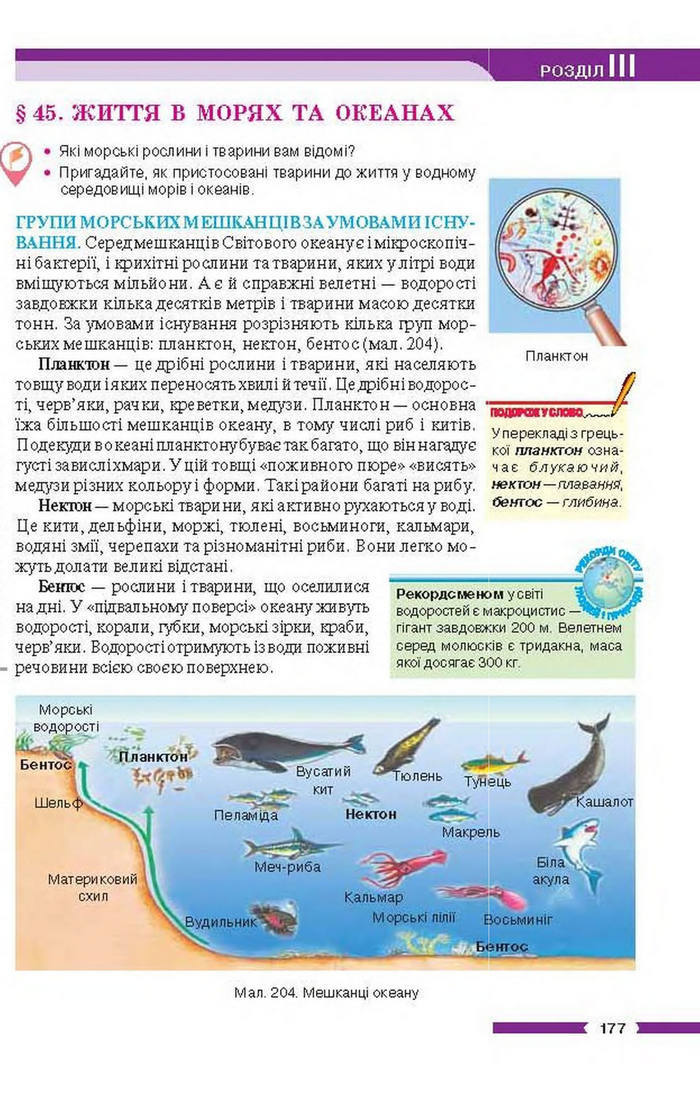 Підручник Географія 6 клас Бойко