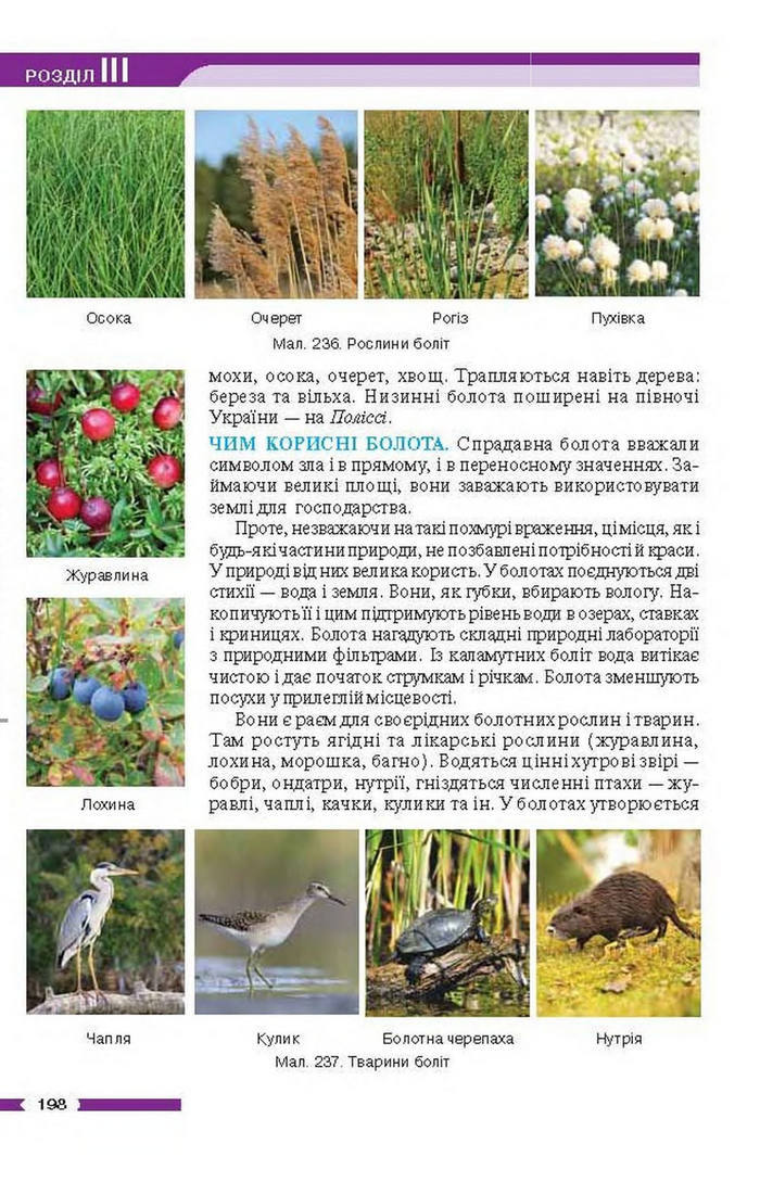 Підручник Географія 6 клас Бойко
