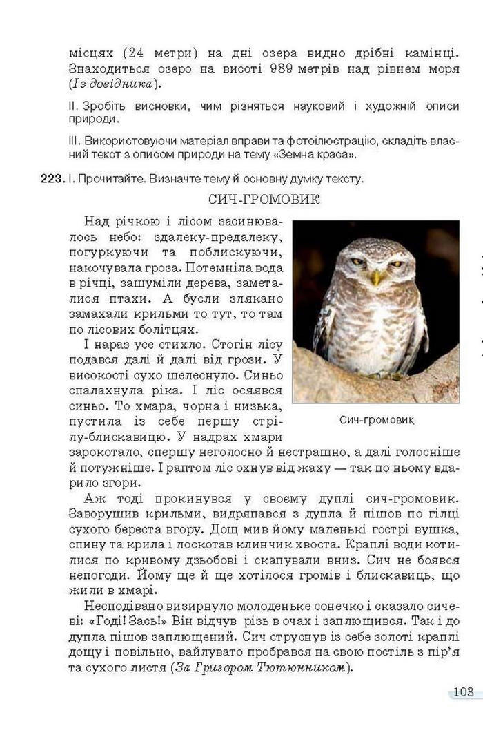 Учебник Українська мова 6 класс Ворон