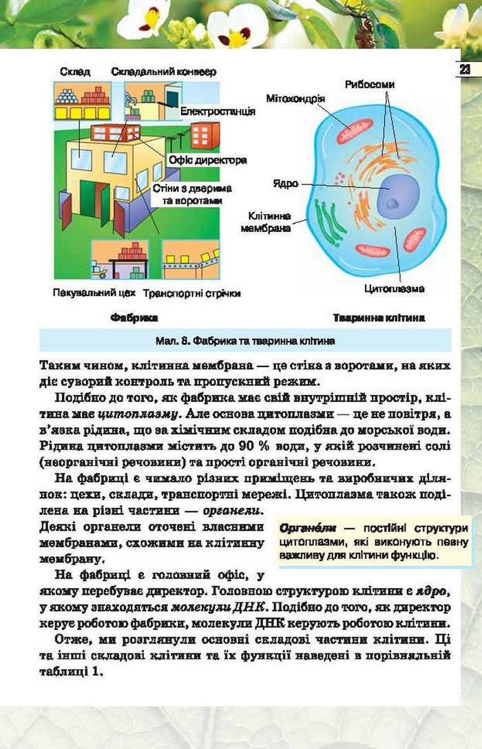 Підручник Біологія 6 клас Костіков