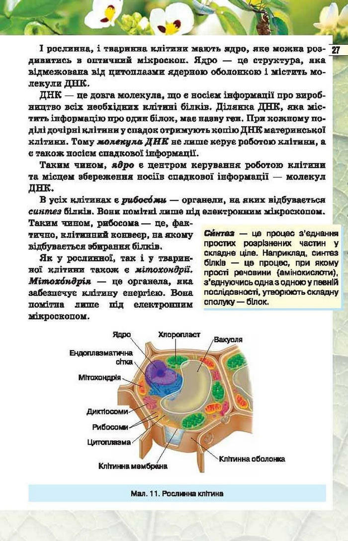 Підручник Біологія 6 клас Костіков