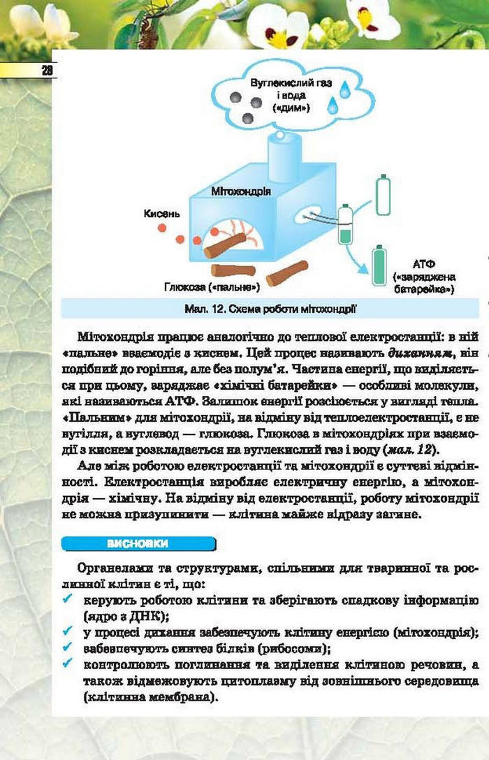Підручник Біологія 6 клас Костіков