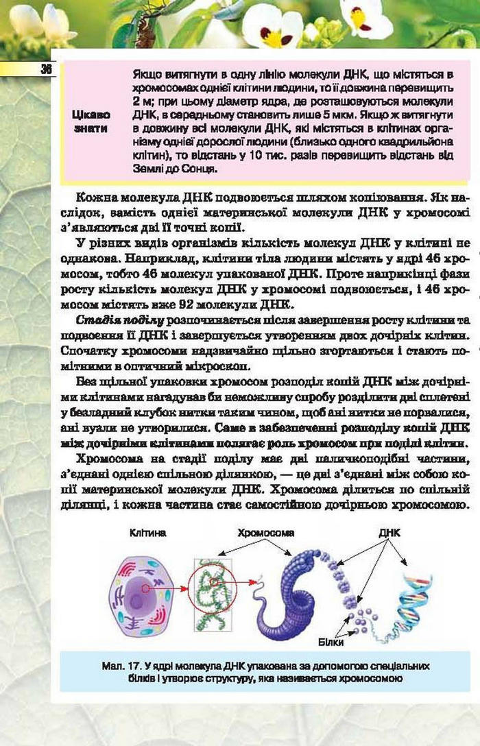 Підручник Біологія 6 клас Костіков