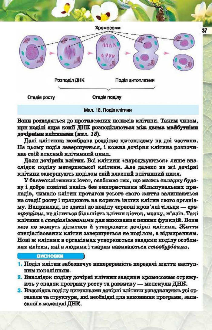 Підручник Біологія 6 клас Костіков