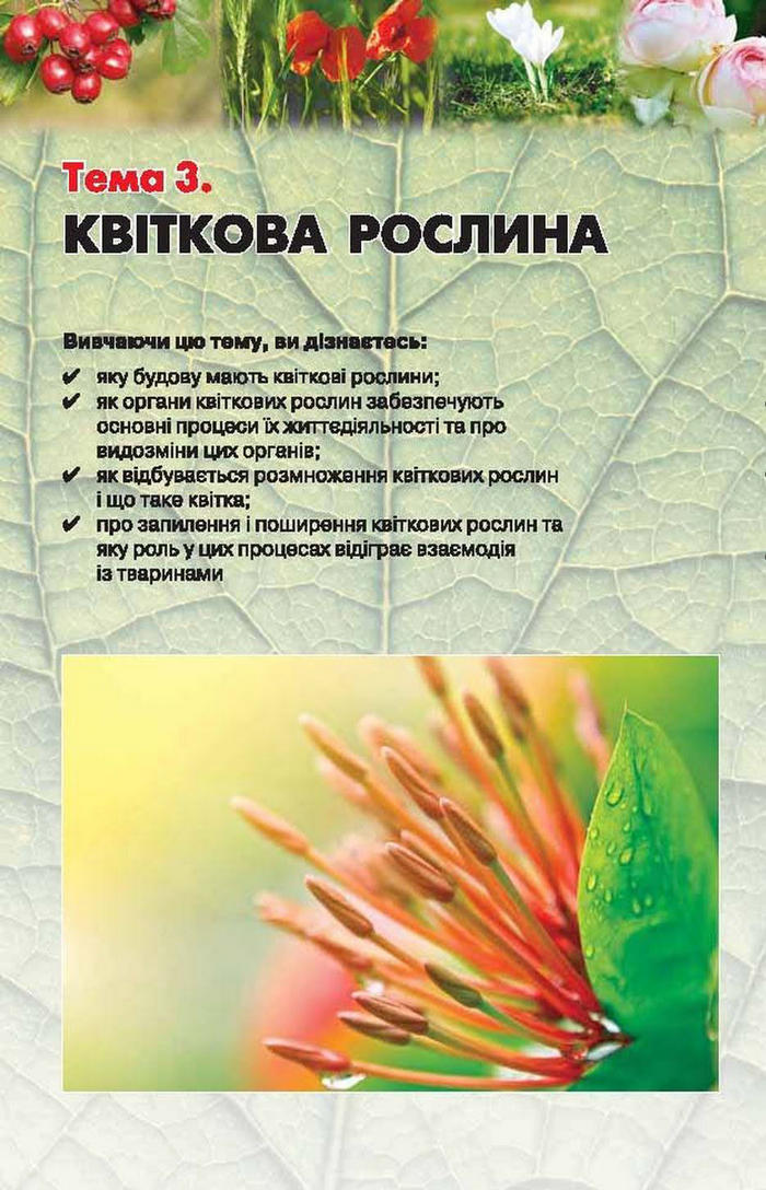 Підручник Біологія 6 клас Костіков
