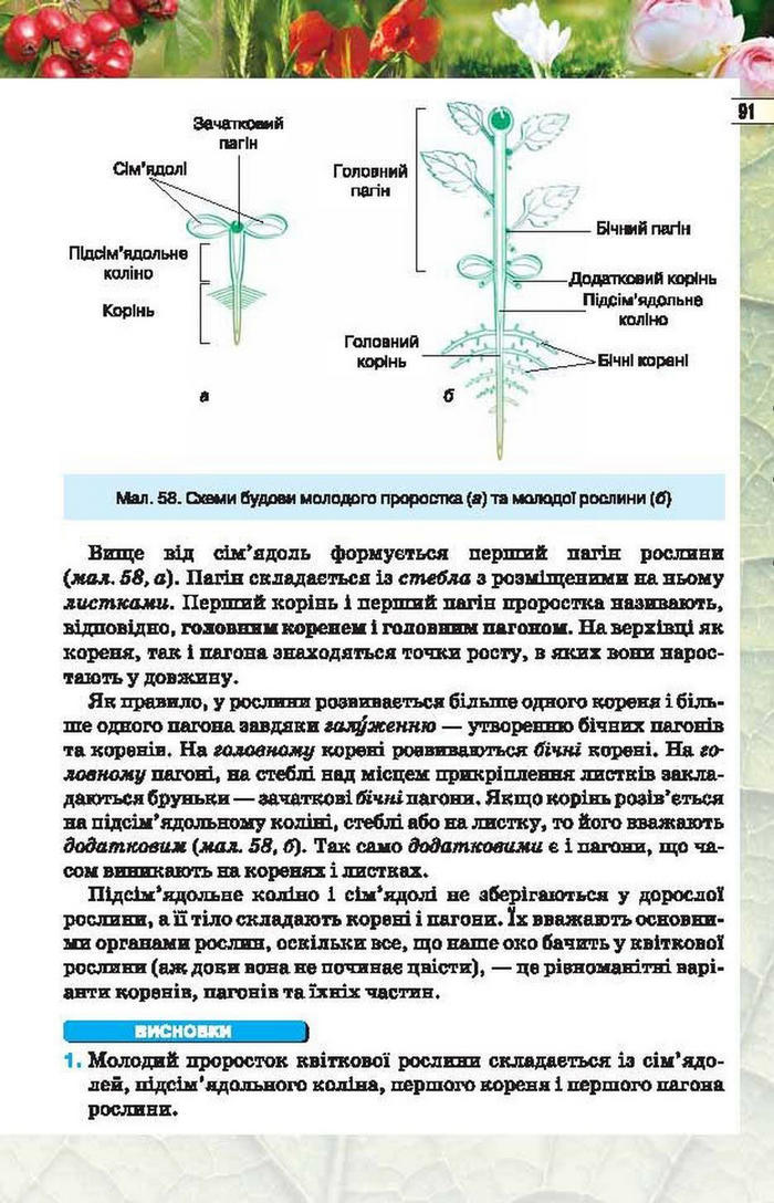 Підручник Біологія 6 клас Костіков