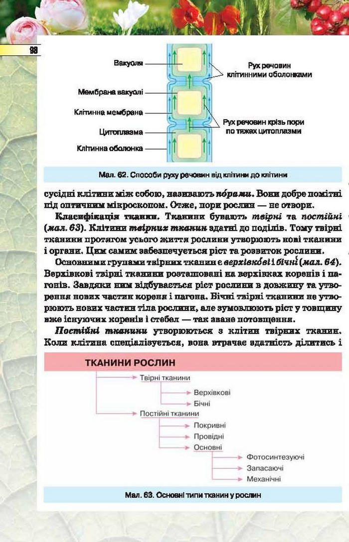 Підручник Біологія 6 клас Костіков