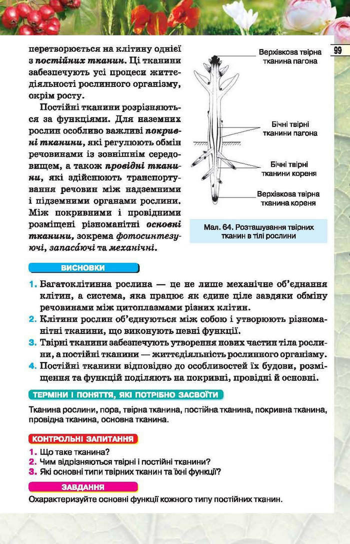 Підручник Біологія 6 клас Костіков