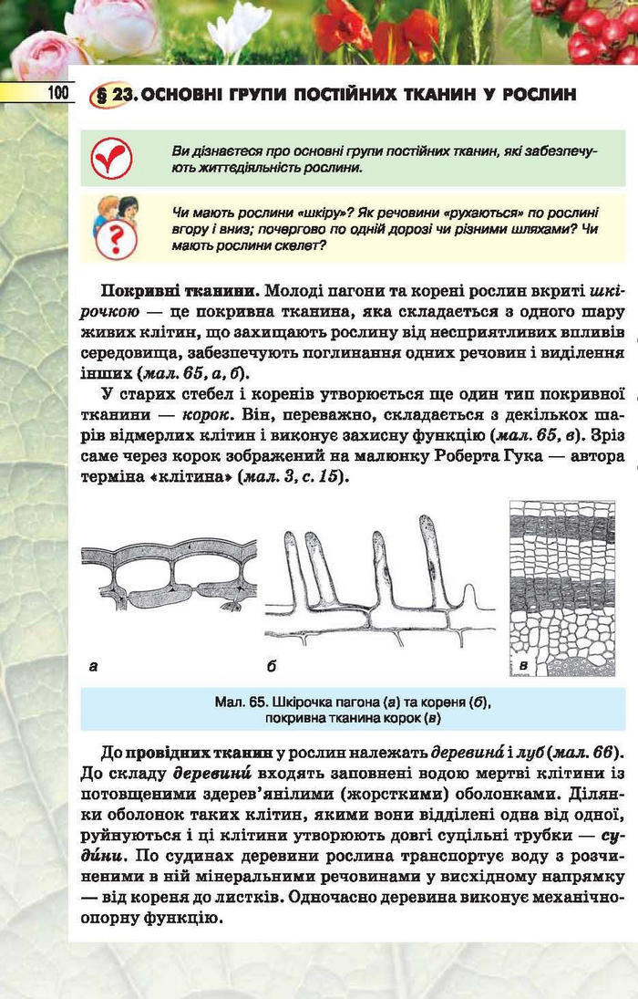 Підручник Біологія 6 клас Костіков