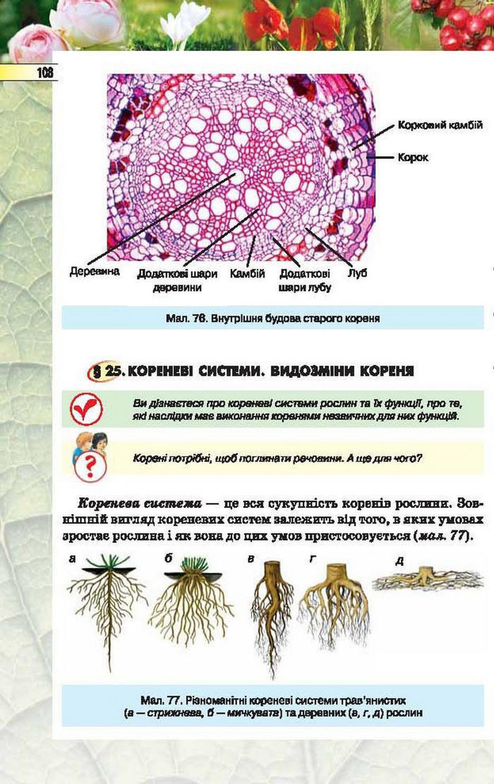 Підручник Біологія 6 клас Костіков