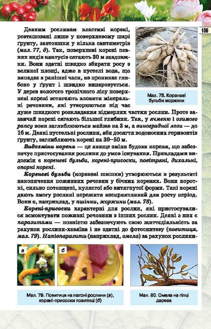 Підручник Біологія 6 клас Костіков