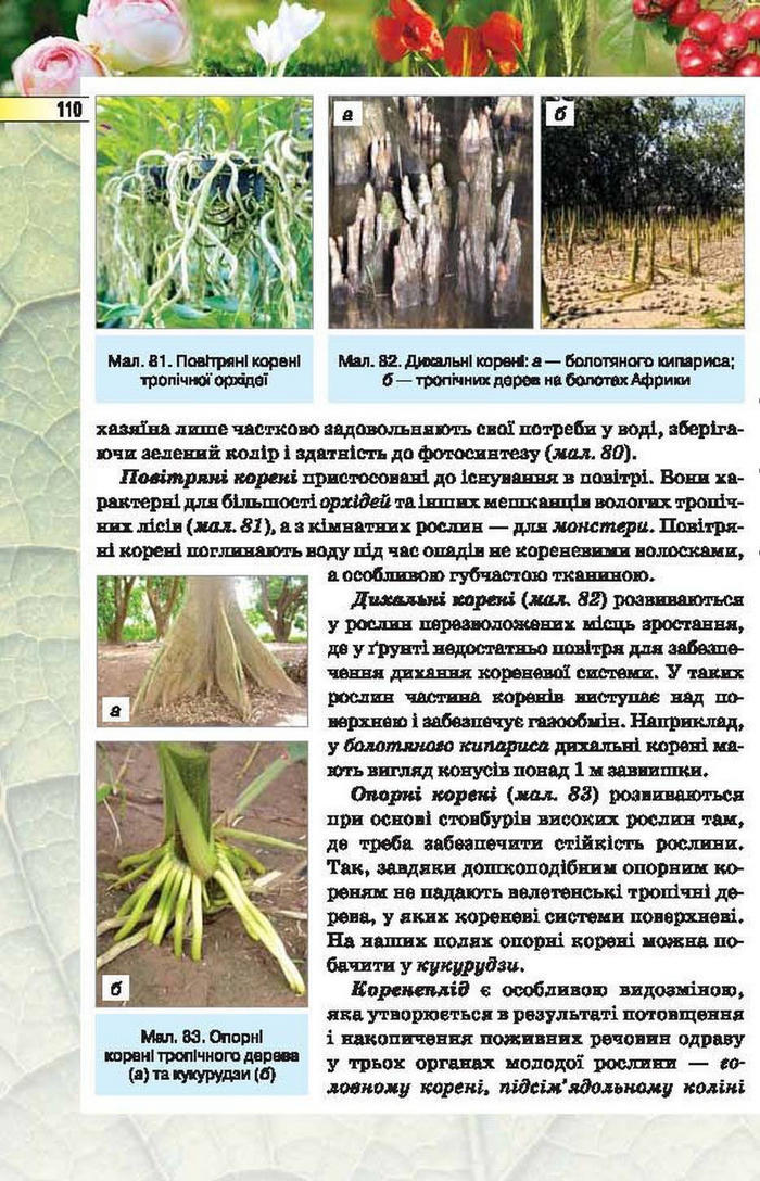 Підручник Біологія 6 клас Костіков