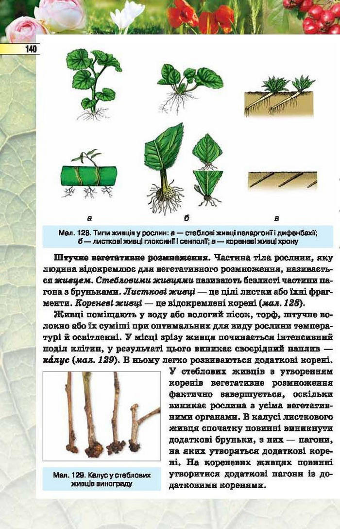 Підручник Біологія 6 клас Костіков