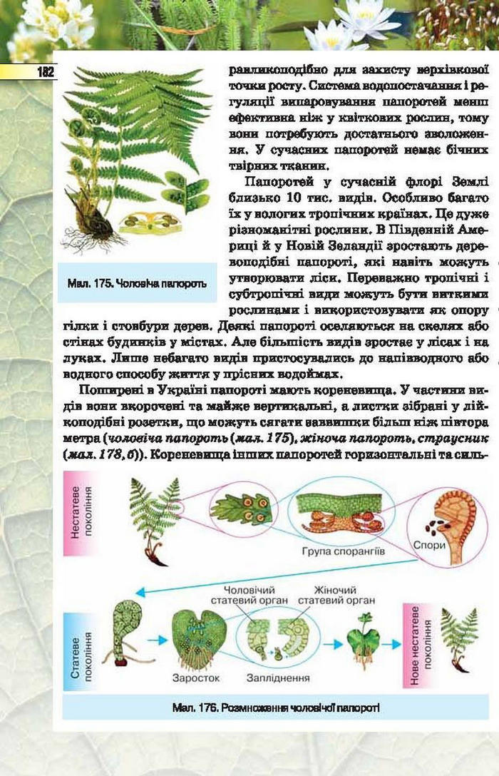 Підручник Біологія 6 клас Костіков
