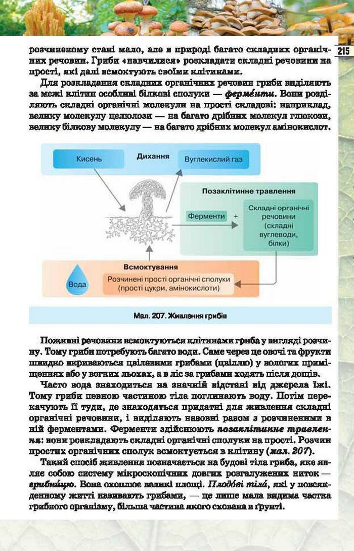 Підручник Біологія 6 клас Костіков