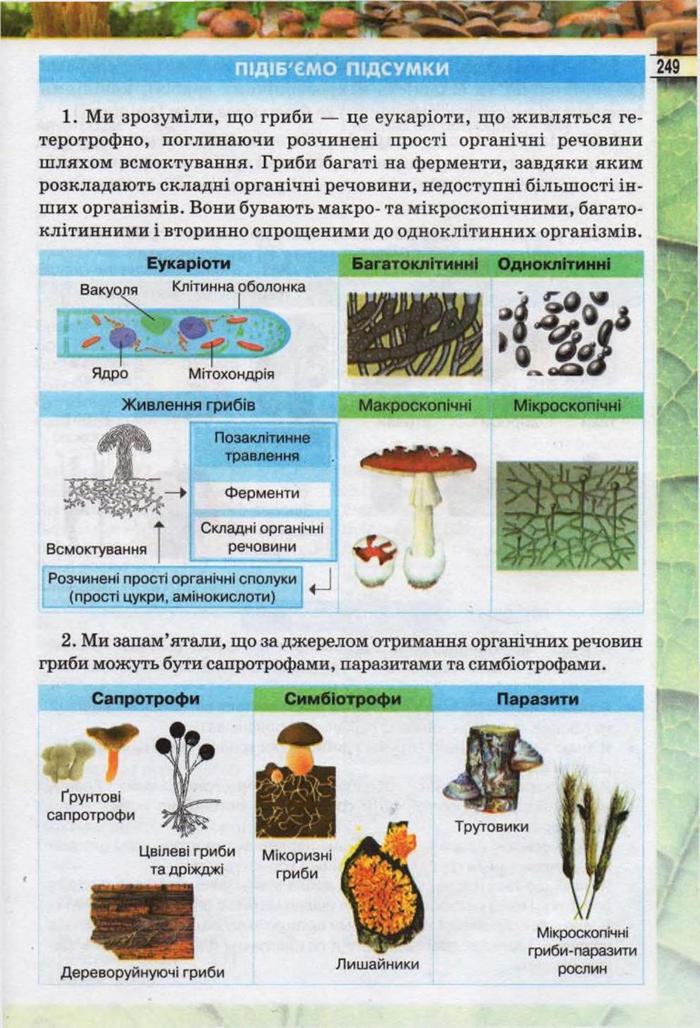 Підручник Біологія 6 клас Костіков