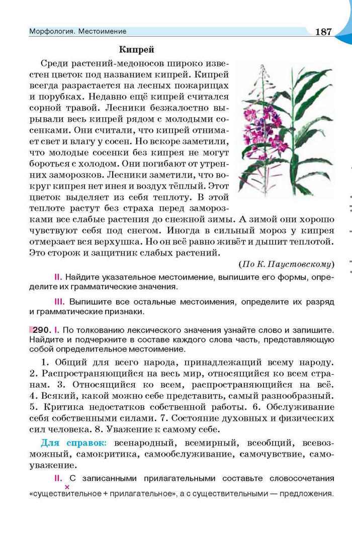 Русский язык 6 класс Быкова