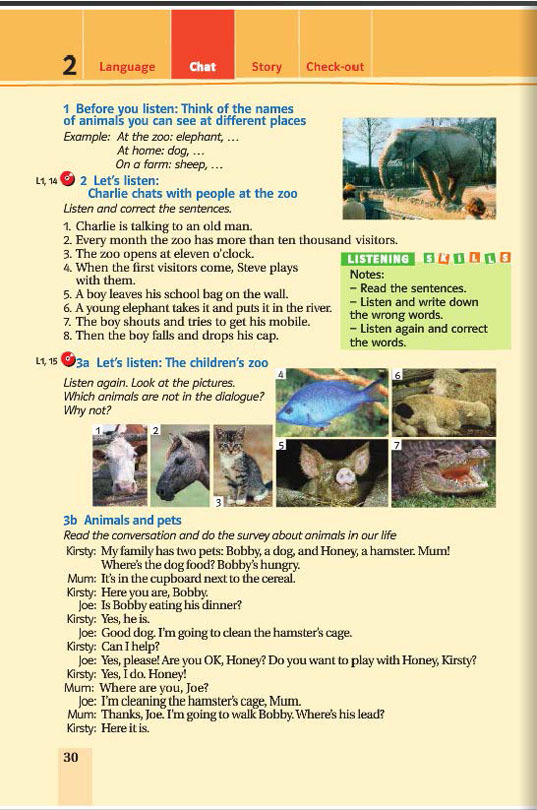 Англійська мова (Joy of English) 6 клас Пахомова