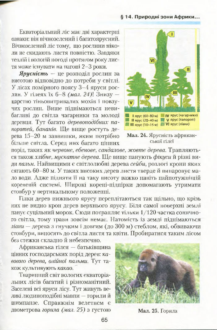 Підручник Географія 7 клас Кобернік 2015