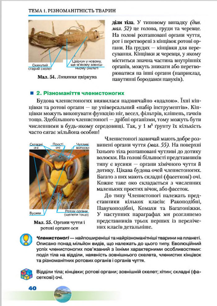 Підручник Біологія 7 клас Шабанов