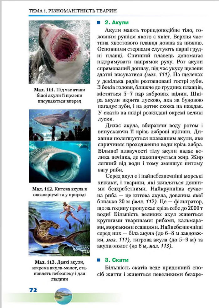 Підручник Біологія 7 клас Шабанов