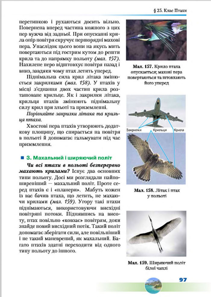 Підручник Біологія 7 клас Шабанов