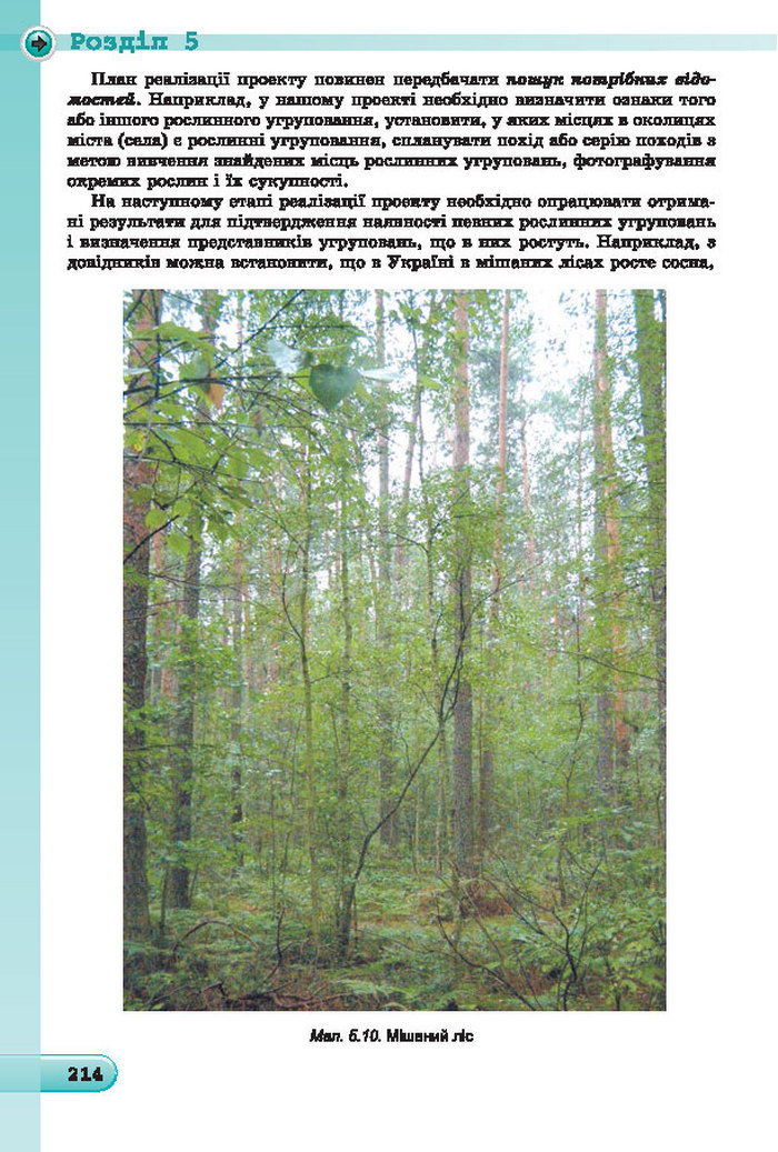 Підручник Інформатика 7 клас Ривкінд 2015 (Укр.)