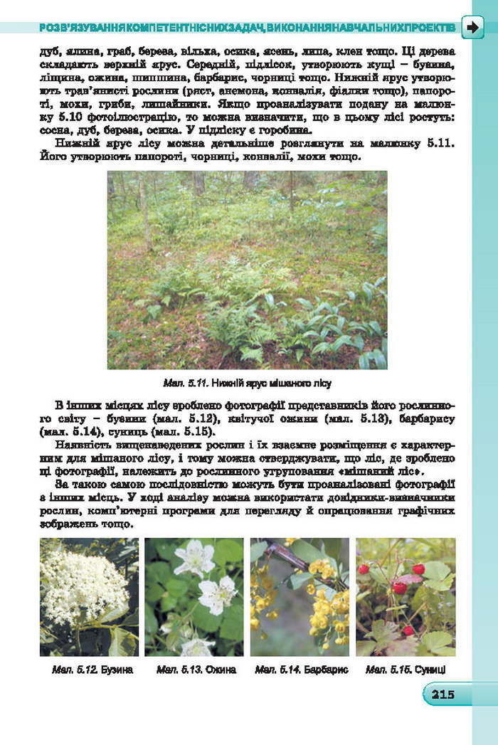 Підручник Інформатика 7 клас Ривкінд 2015 (Укр.)