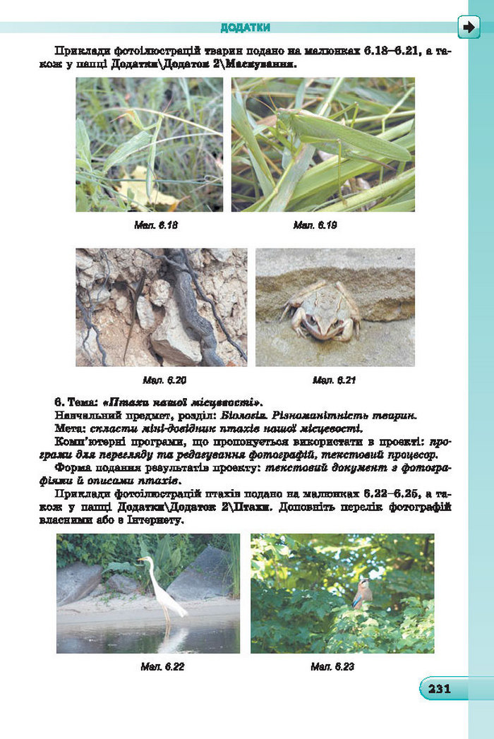 Підручник Інформатика 7 клас Ривкінд 2015 (Укр.)