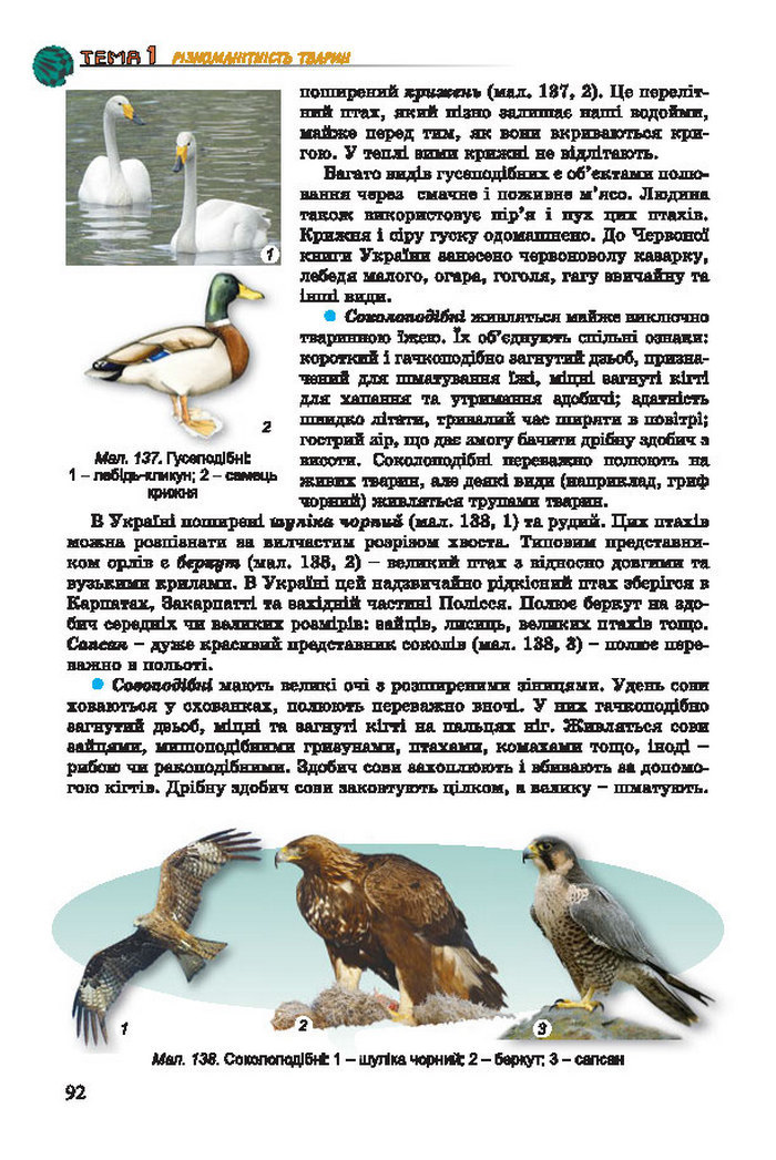 Підручник Біологія 7 клас Остапченко