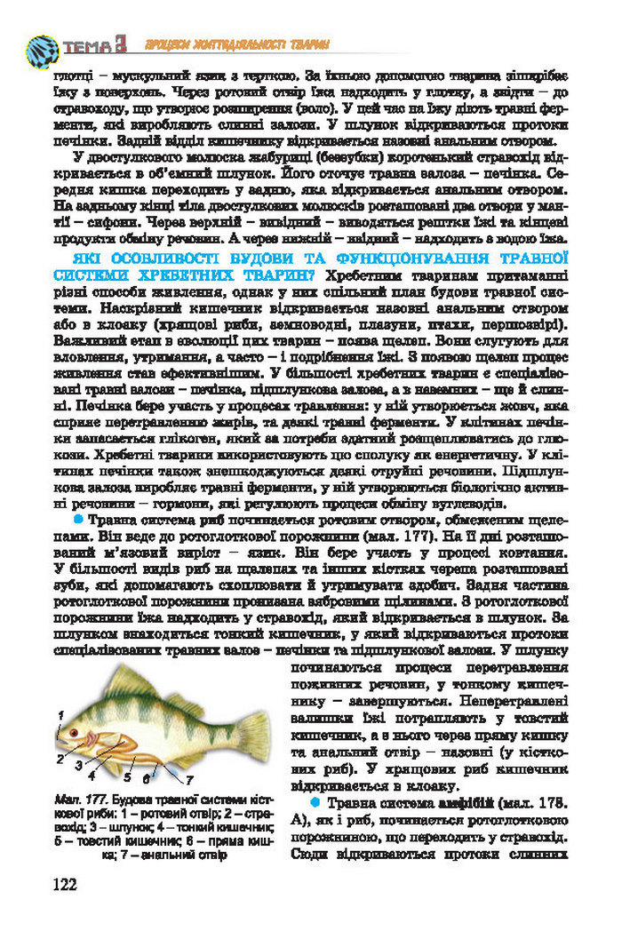 Підручник Біологія 7 клас Остапченко