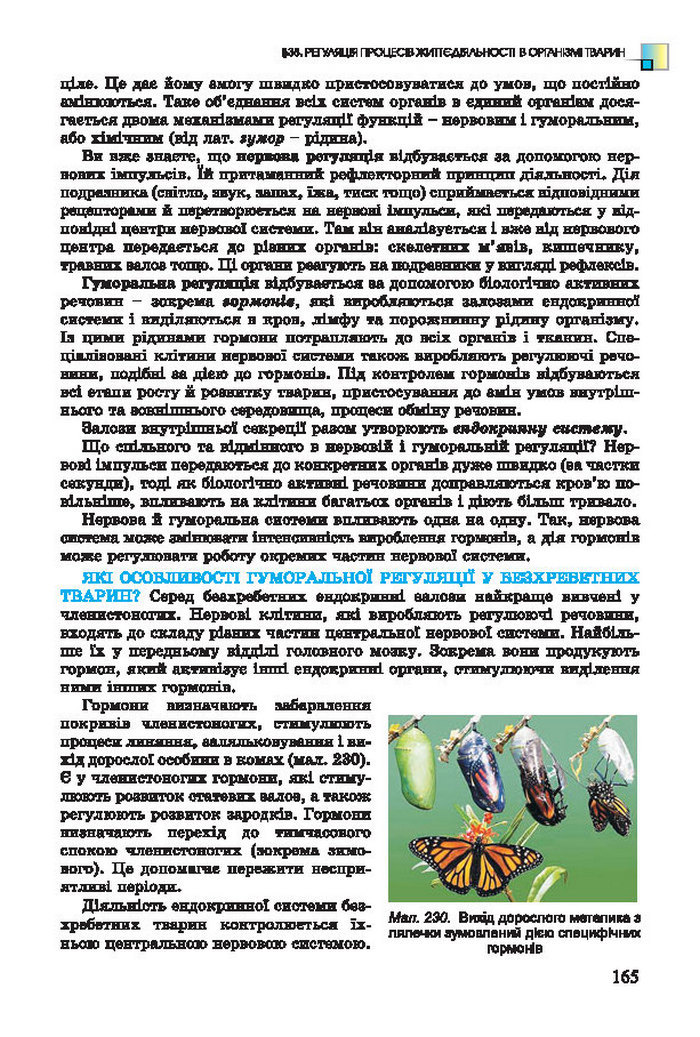 Підручник Біологія 7 клас Остапченко