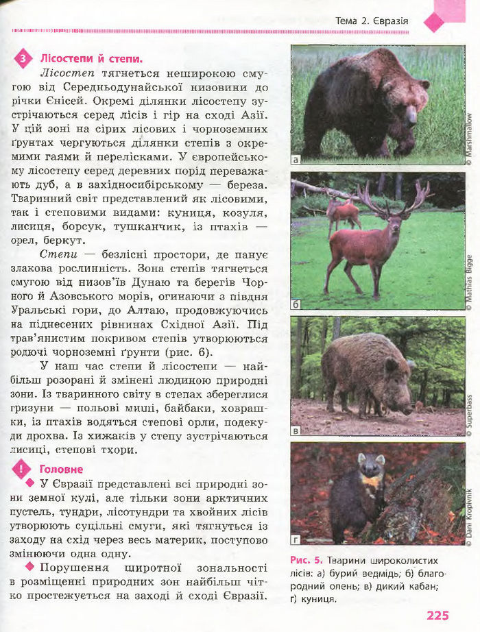 Підручник Географія 7 клас Довгань, Стадник (Укр.)