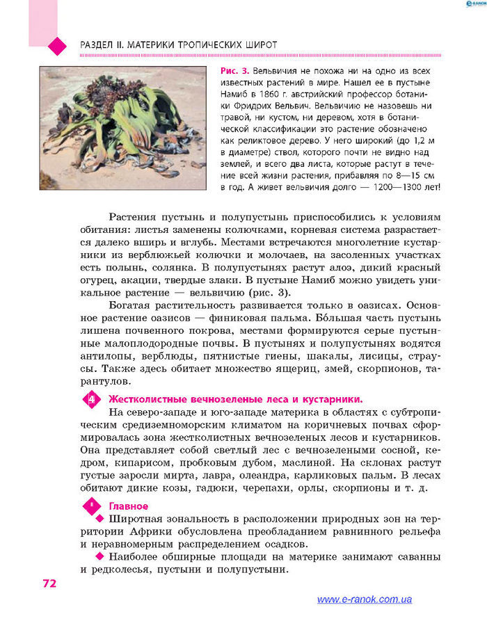 География 7 класс Довгань (Рус.)