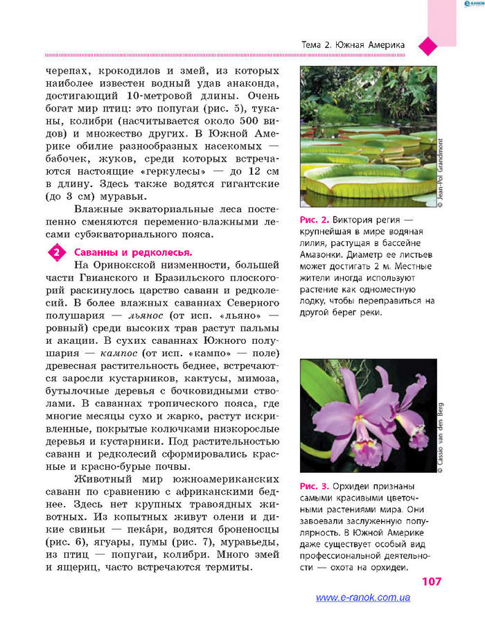 География 7 класс Довгань (Рус.)