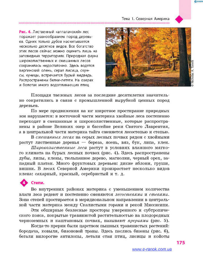География 7 класс Довгань (Рус.)