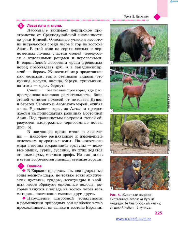 География 7 класс Довгань (Рус.)