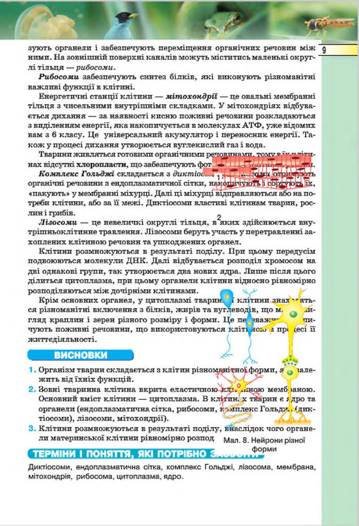 Підручник Біологія 7 клас Костіков 2015