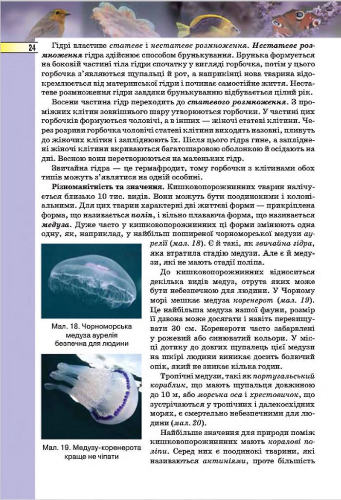 Підручник Біологія 7 клас Костіков 2015