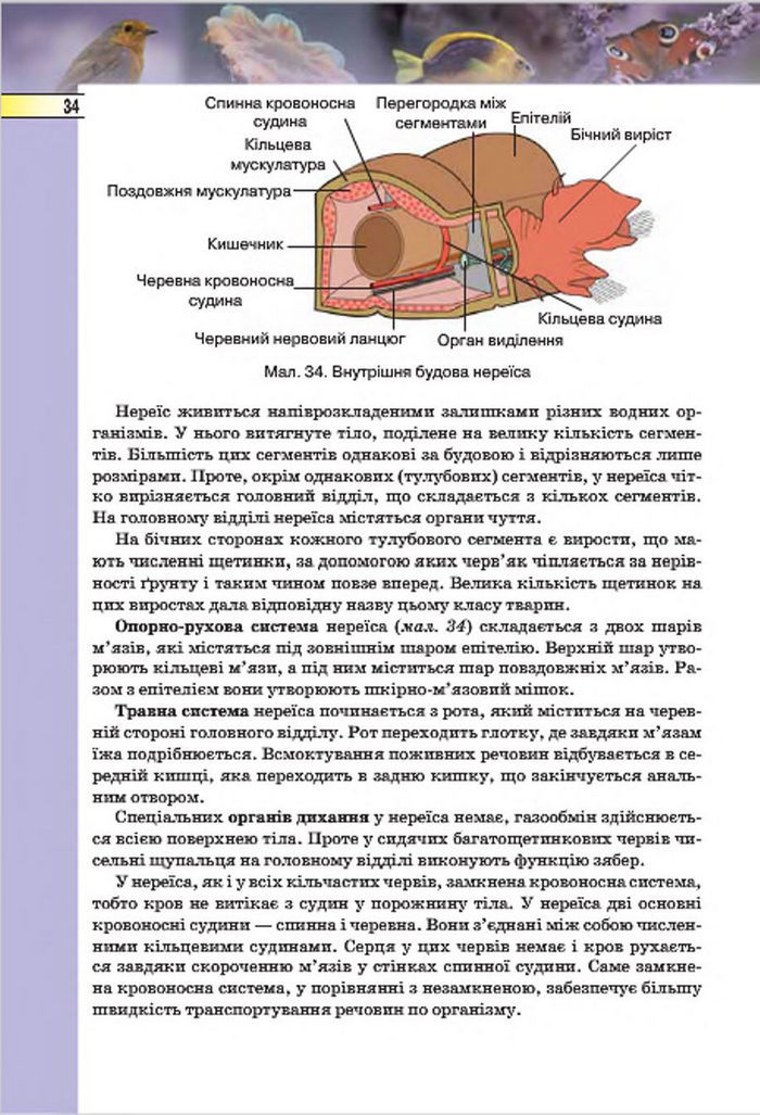 Підручник Біологія 7 клас Костіков 2015