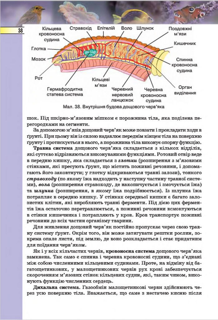 Підручник Біологія 7 клас Костіков 2015