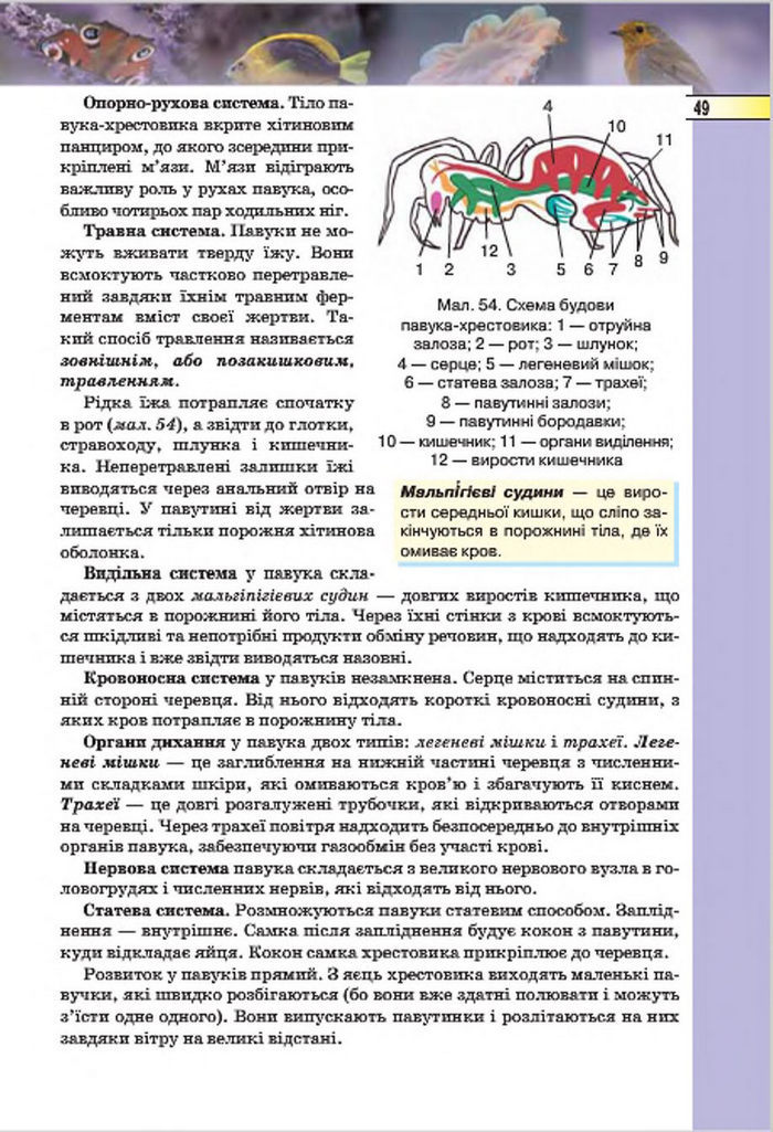 Підручник Біологія 7 клас Костіков 2015