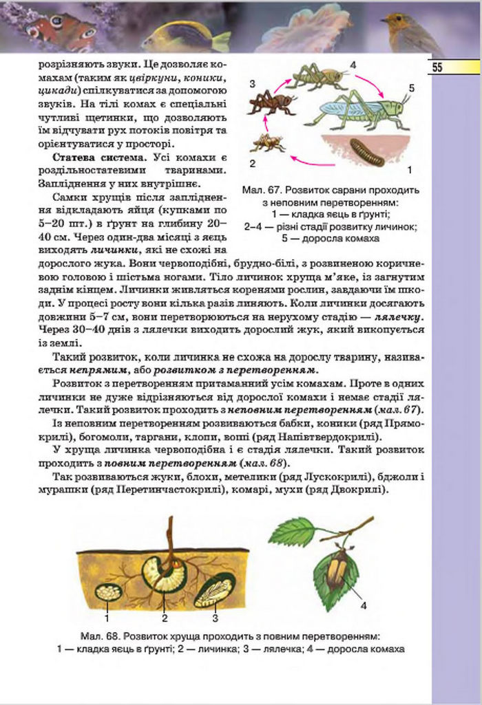 Підручник Біологія 7 клас Костіков 2015