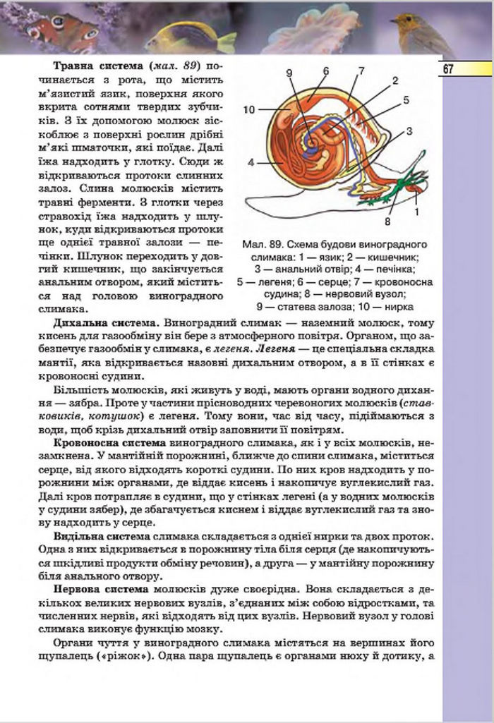 Підручник Біологія 7 клас Костіков 2015