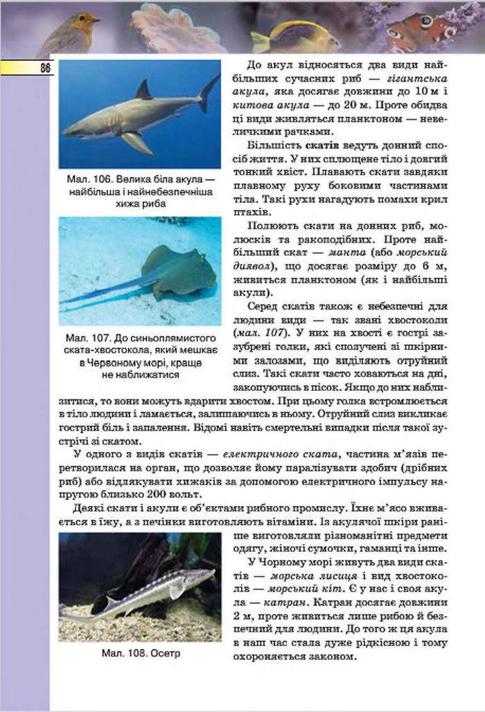 Підручник Біологія 7 клас Костіков 2015