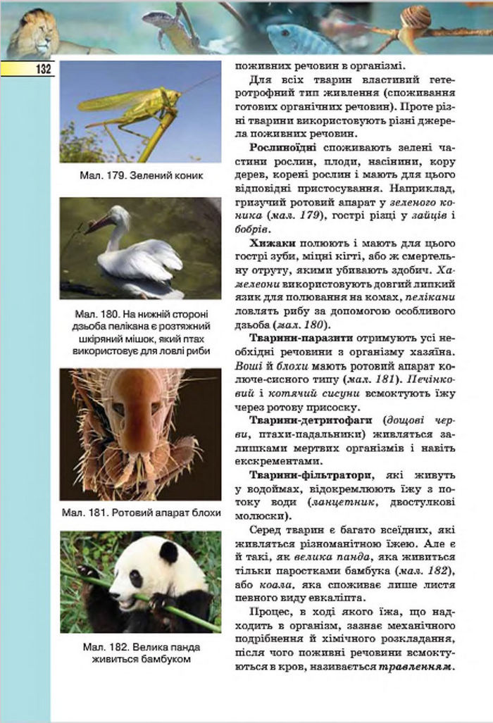 Підручник Біологія 7 клас Костіков 2015